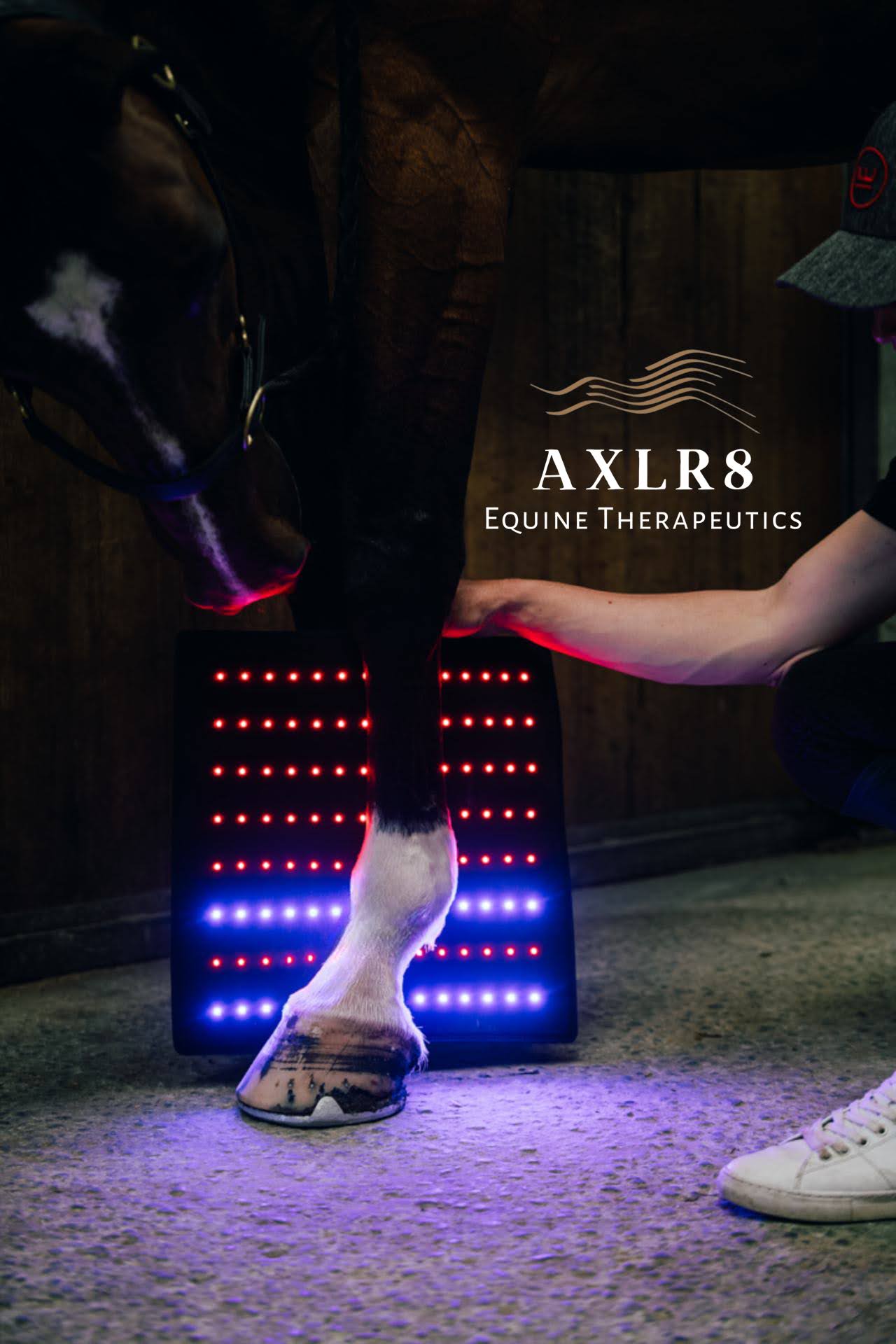 AXLR8 Therapy Wraps - Pair