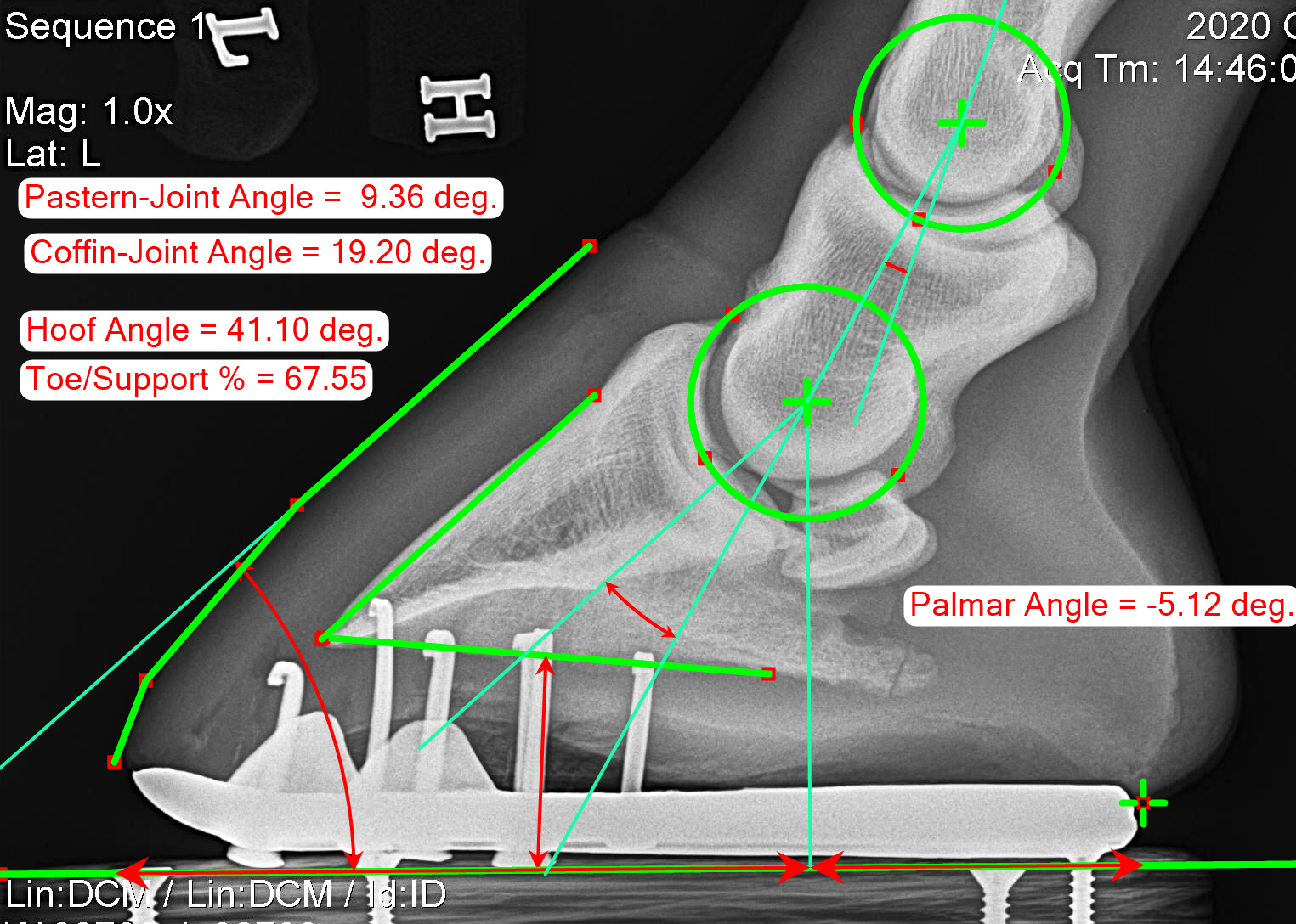 Metron Hoof Xray Mark Ups (2 feet series) Six BarTherapy