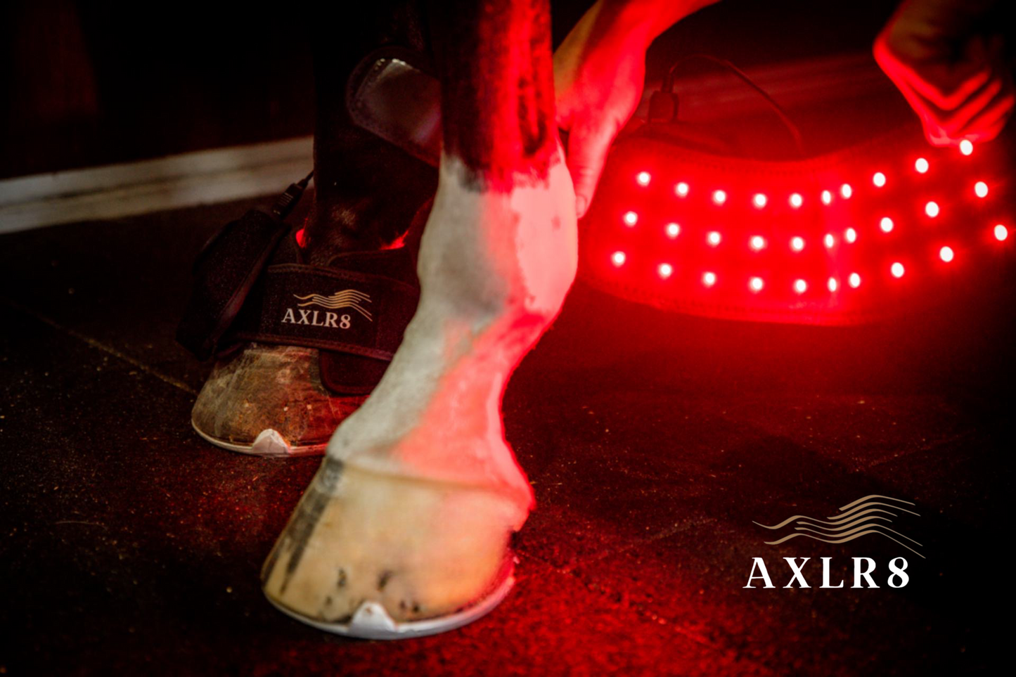 AXLR8 Therapy Hoof Boots - Pair