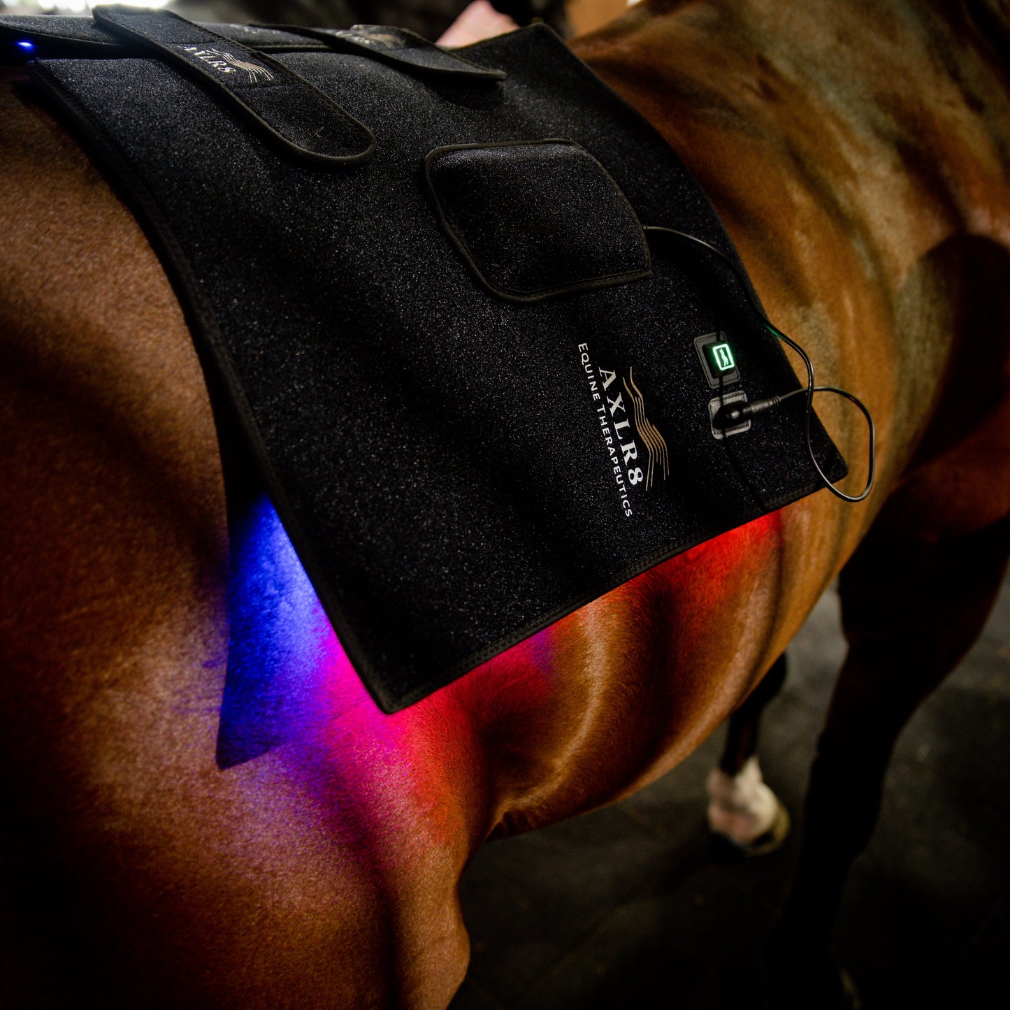 CUSTOM BRANDED AXLR8 Therapy Wraps - Pair